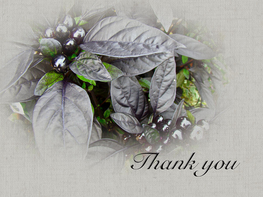 Thank You Card - Silver Leaves and Berries Photograph by Carol Senske