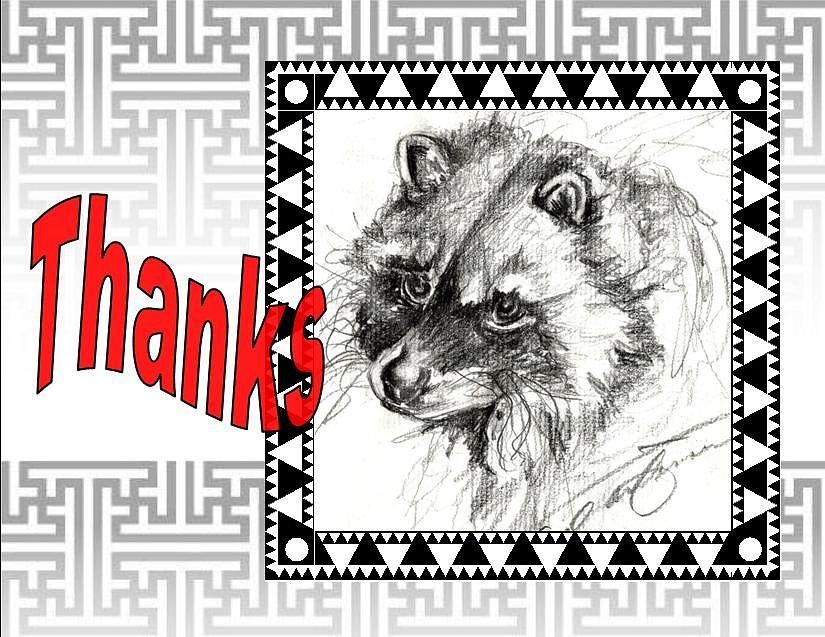 Thank You Card Drawing by Carol Allen Anfinsen
