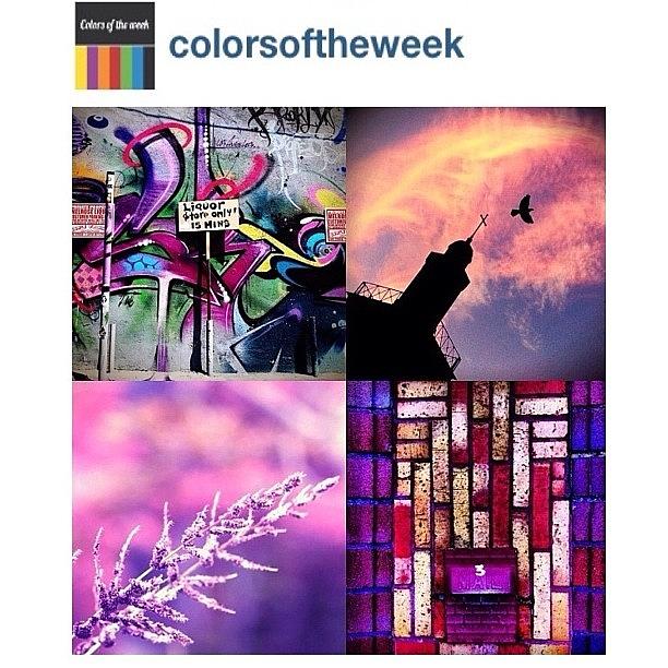 Thank You @colorsoftheweek For Photograph by Ink Blue