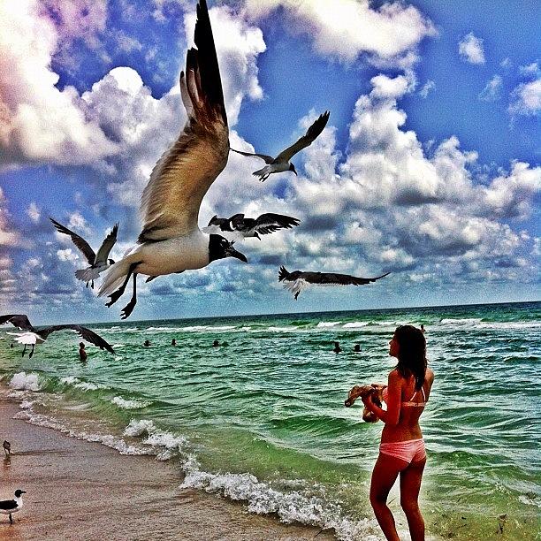 Thank You For Feeding The Seagulls 😊 Photograph by Natalie Murphy