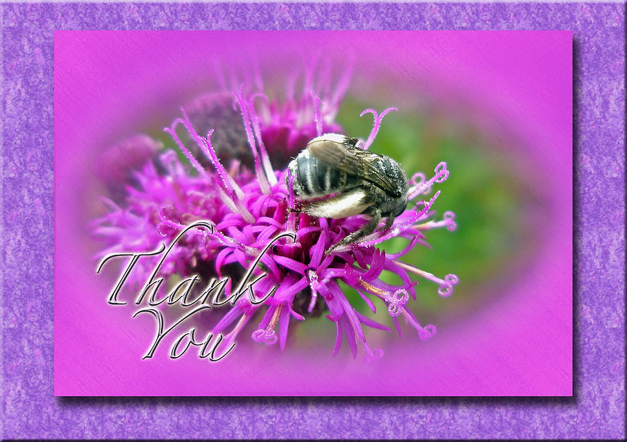 Thank You Greeting Card - Bumblebee On Ironweed Photograph