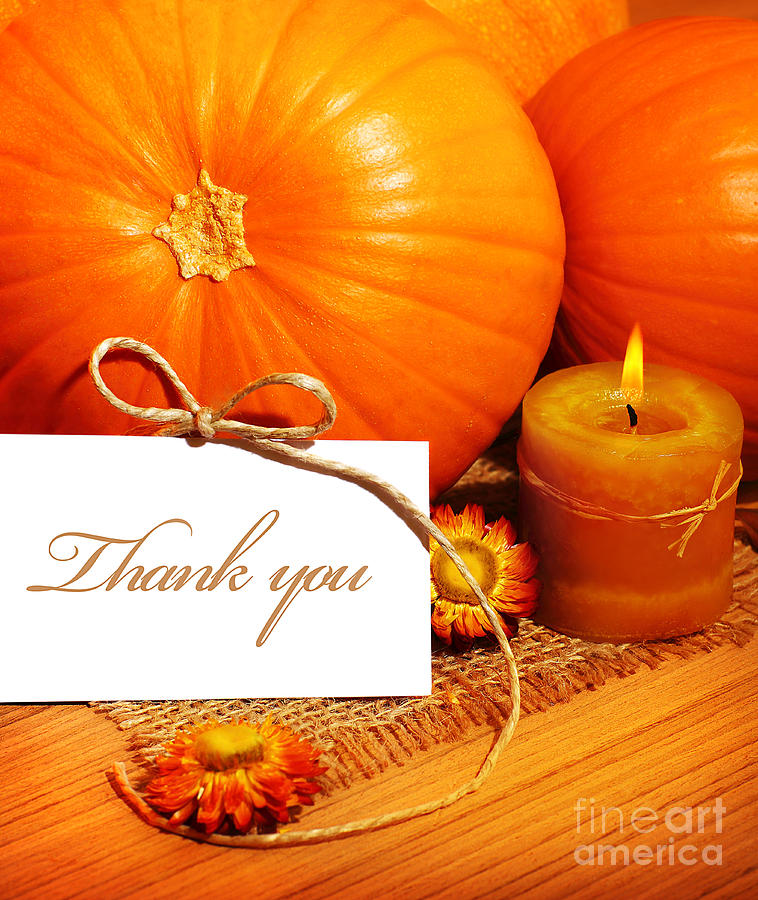 Still Life Photograph - Thank you thanksgiving greeting card by Anna Om
