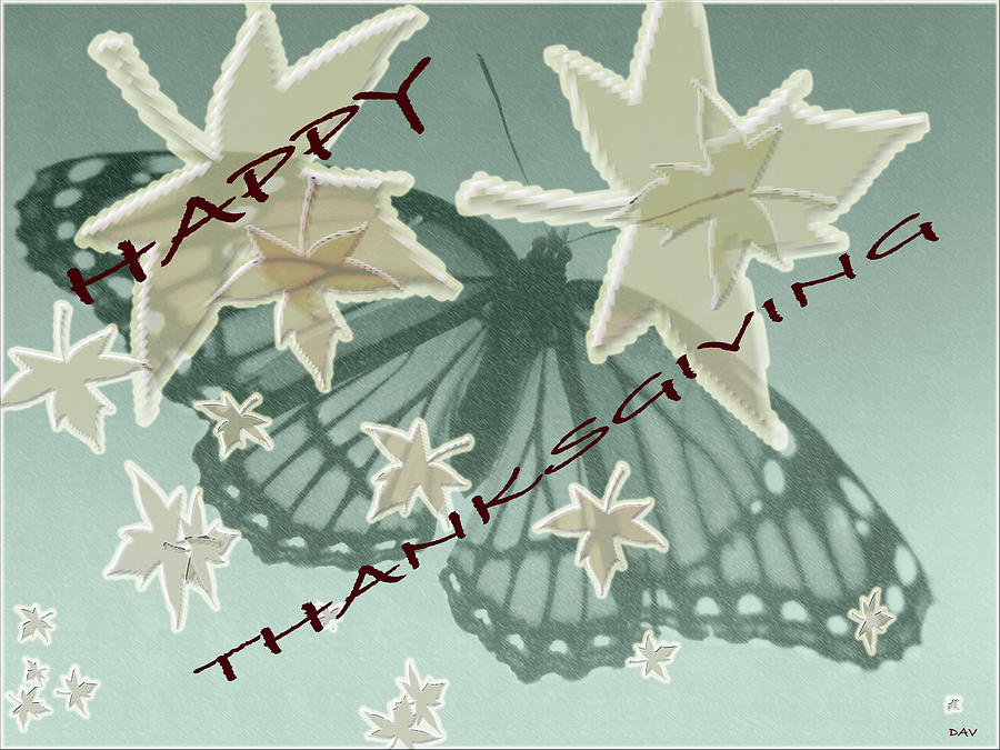 Thankful Holiday Card Photograph by Debra     Vatalaro