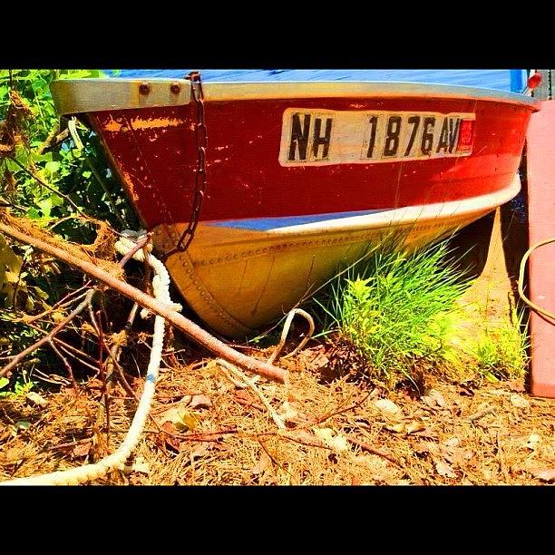 Boat Photograph - Thanks For Adjusting It For Me Babes by Danielle McNeil