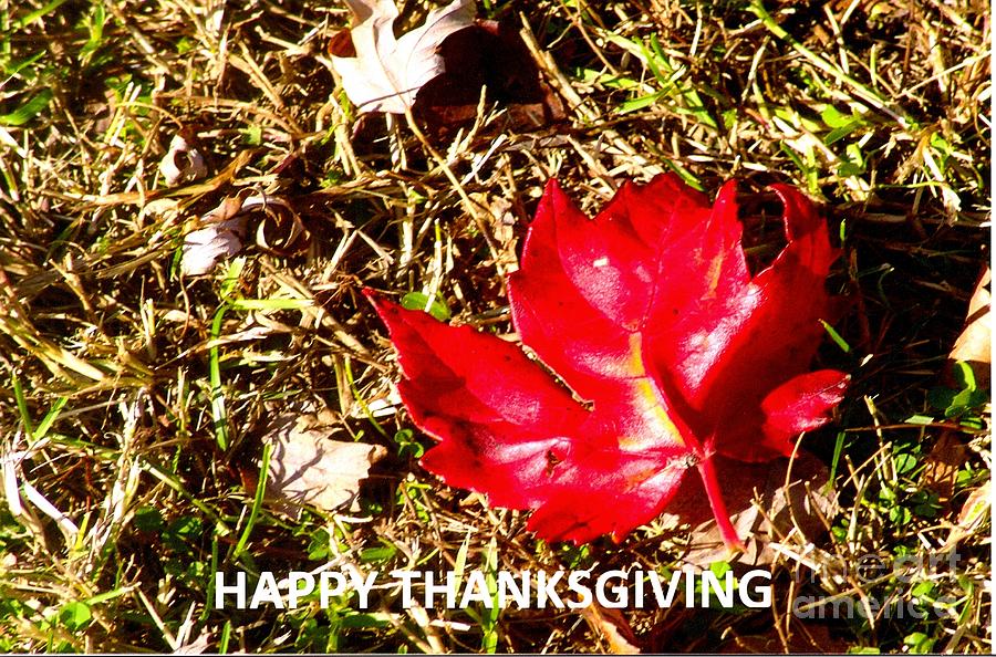 Thanksgiving Photograph - Thanksgiving Card 2 by Rod Ismay