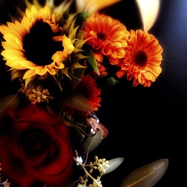 Sunflower Photograph - 🌻🌹🍃thanksgiving Flowers by Yoni Mayeri