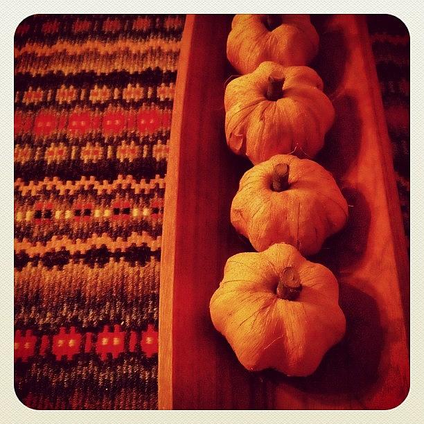 Pumpkin Photograph - Thanksgiving Week Begins by Zeke Rice