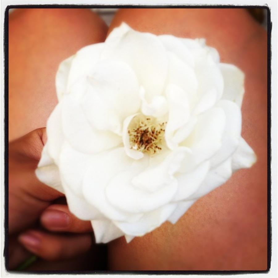 Flowers Still Life Photograph - #thankyou Baby <3 #beautiful #flower by Nena Alvarez