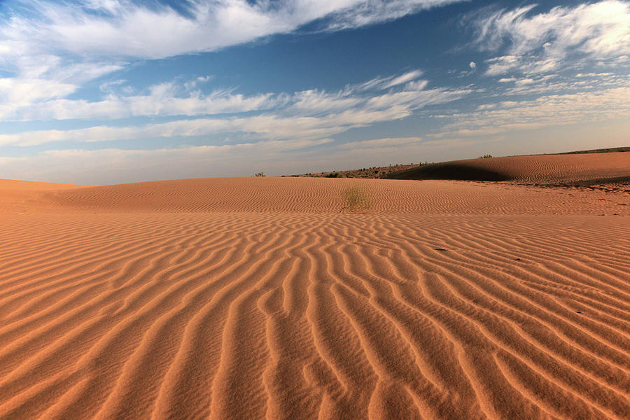  Thar Desert  Jaisalmer Photograph by Milind Torney