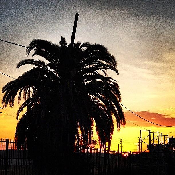 That California Sunset I Keep Missing Photograph by Bx N-fx