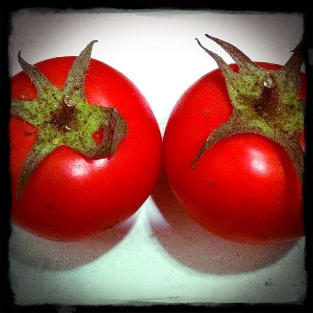 Tomato Photograph - Thats A Cute Tomato! by Jennifer Augustine