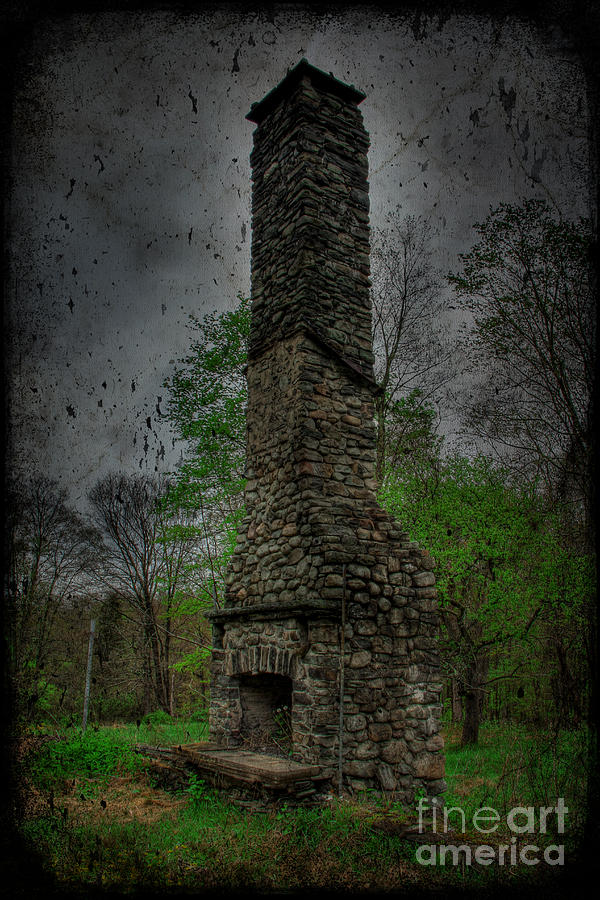 The Abandoned Fireplace  Photograph by Lee Dos Santos