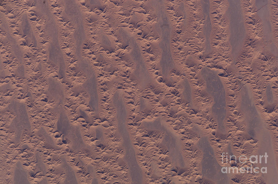 Space Photograph - The Algerian Desert by Stocktrek Images