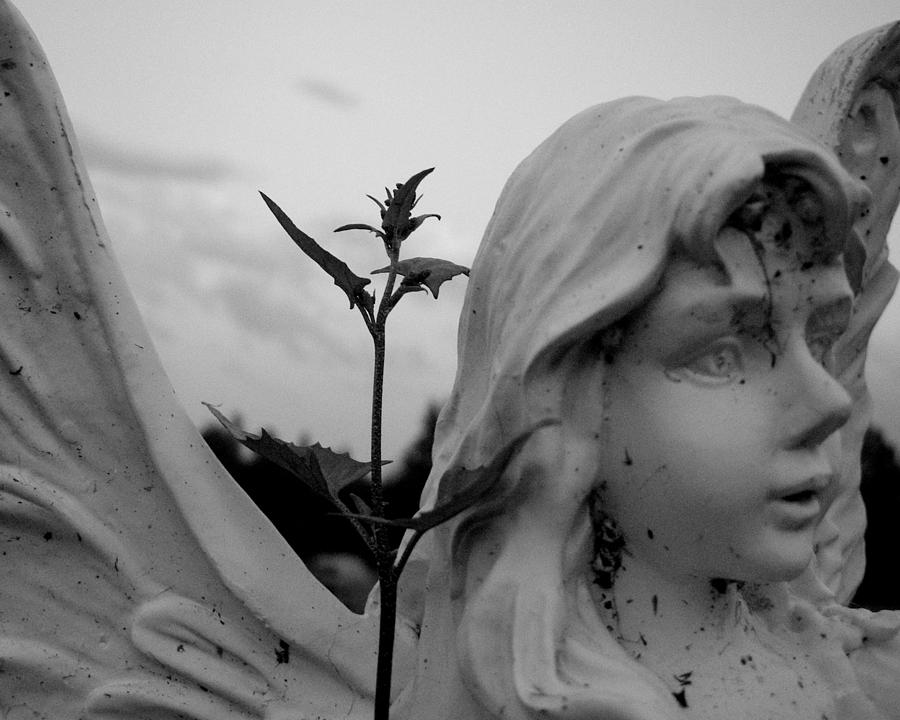 Black And White Photograph - The Angel by Leanne Karlstrom