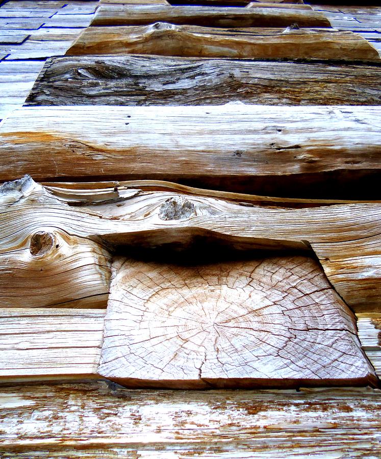 Wood Photograph - The Art Of Wood by Randall Weidner