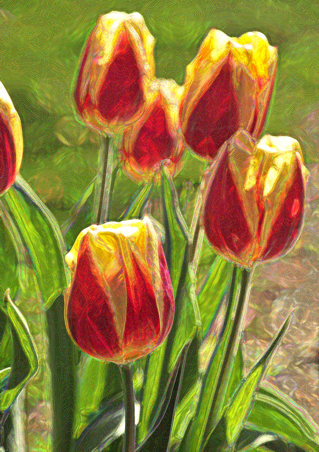 The Artful Tulips Photograph by Nancy De Flon