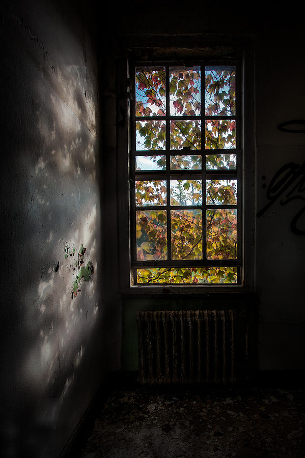 The Autumn Cries Photograph by Gary Heller