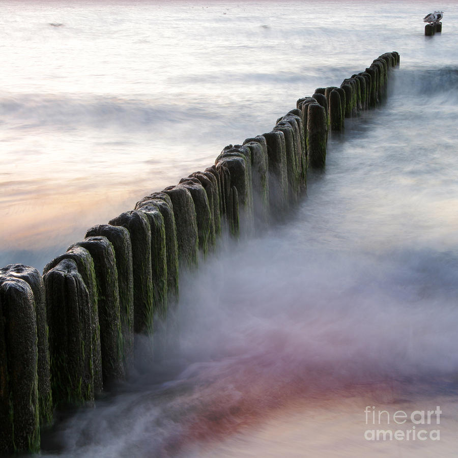 the Baltic Sea Photograph by Ang El