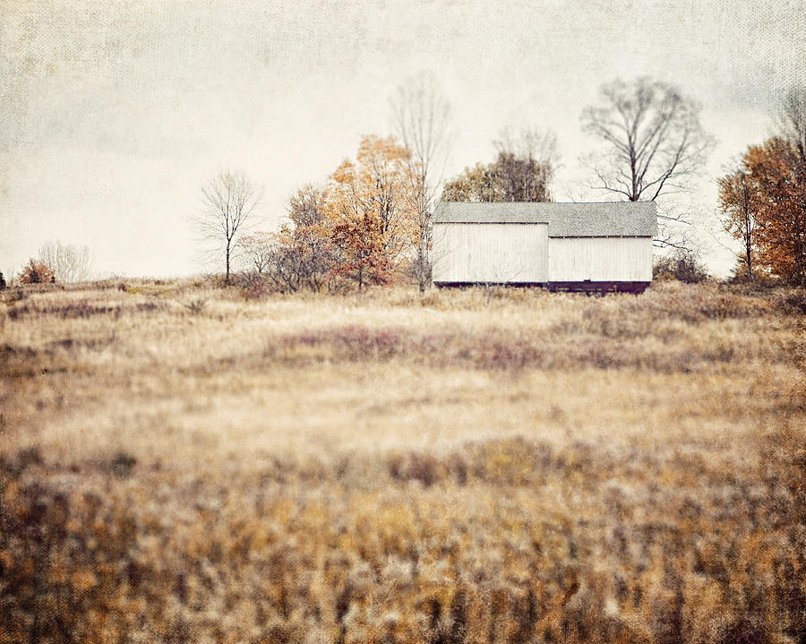 Fall Photograph - The Barn on the Hill by Lisa R