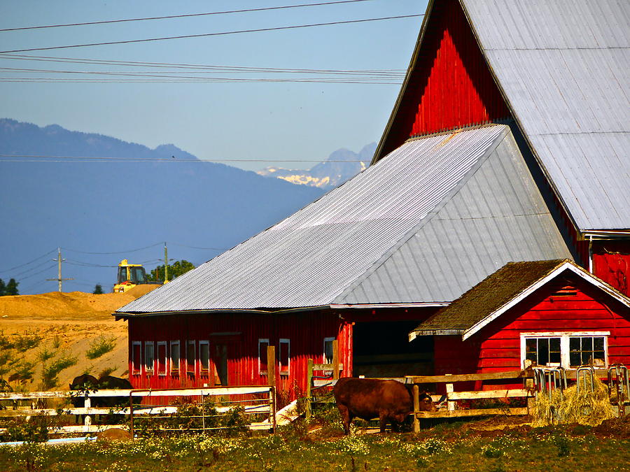 The Barn Photograph