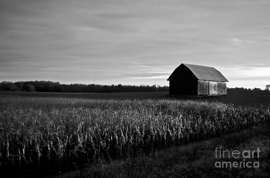 The Barn Photograph by Randall Cogle
