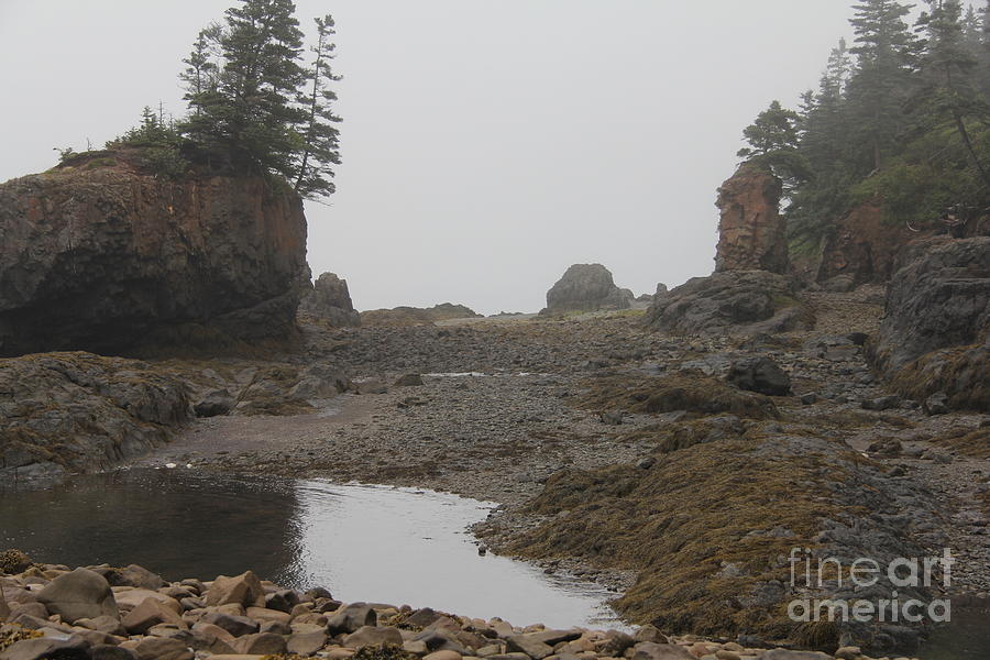 The Bay Of Fundy Photograph