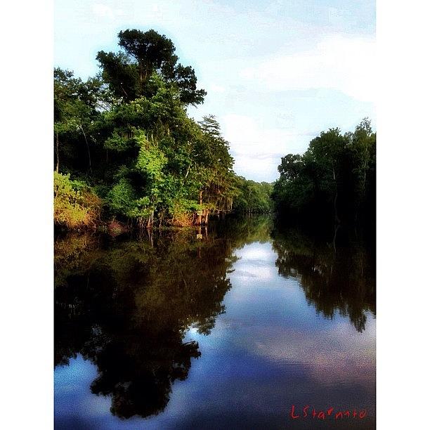 Tree Photograph - The #bayou Can Be So Peaceful At Times by Lester Starnuto
