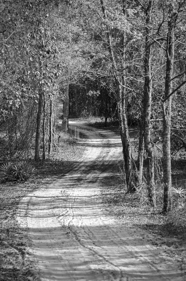 Black And White Photograph - The Beaten Path by Carolyn Marshall