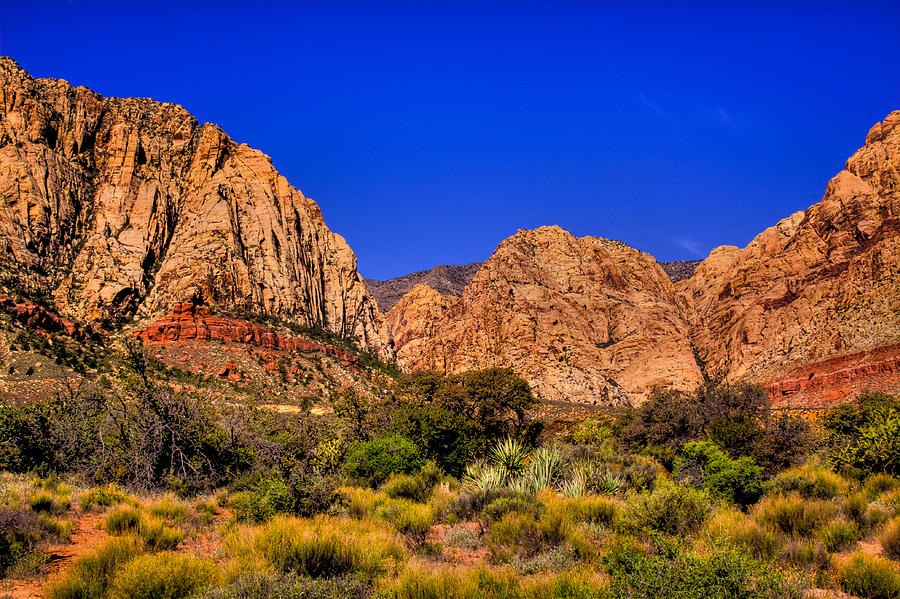 The Beautiful Red Rock Canyon Photograph by David Patterson