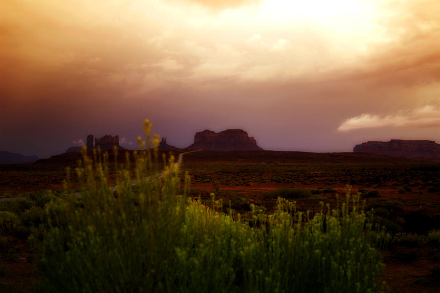 The Beauty of a Desert Sunset Photograph by Ellen Heaverlo