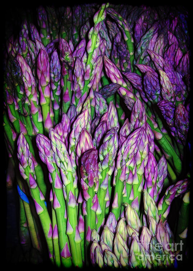 The Beauty of Asparagus Photograph by Judi Bagwell