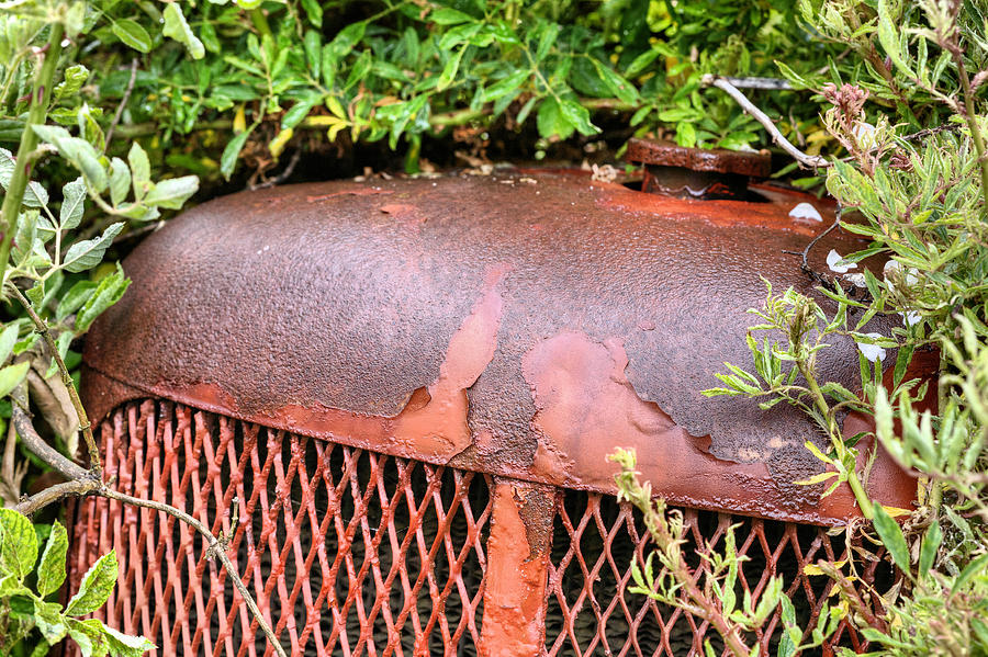 The Beauty of Rust Photograph by JC Findley