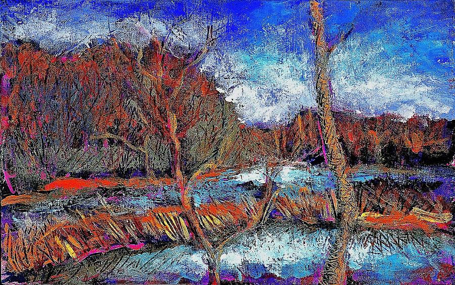 The Beaver Dam Painting By Iti Ion Vincent Danu - Fine Art America