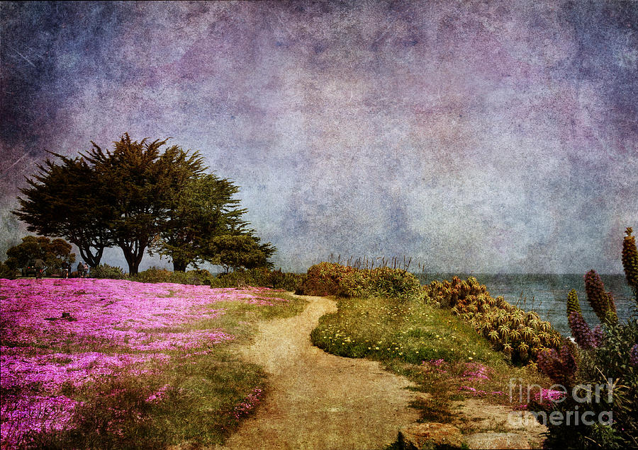 The Beckoning Path Photograph by Laura Iverson