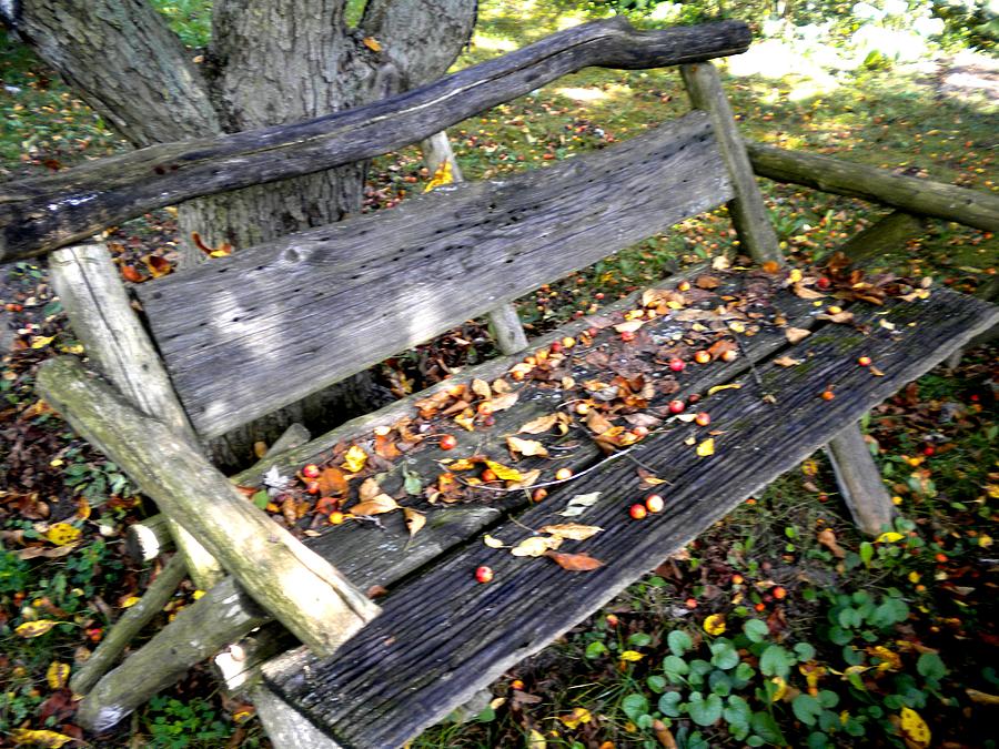 The Bench Photograph by Renate Wesley