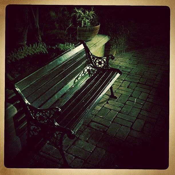 Vintage Photograph - The Bench by Torgeir Ensrud