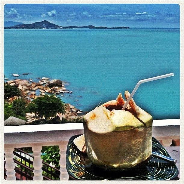 Coconut Photograph - The Best Coconut Ever Because The View by Luke Fuda