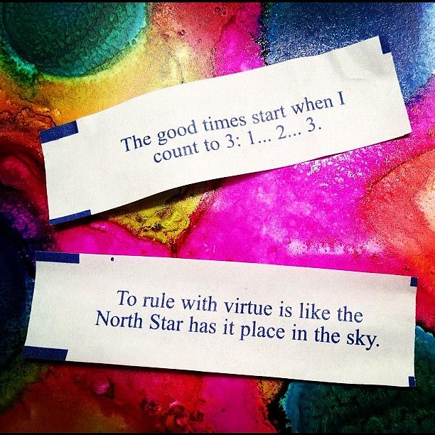 The Best Fortune Cookies Anyone Could Photograph by Bryan Burton