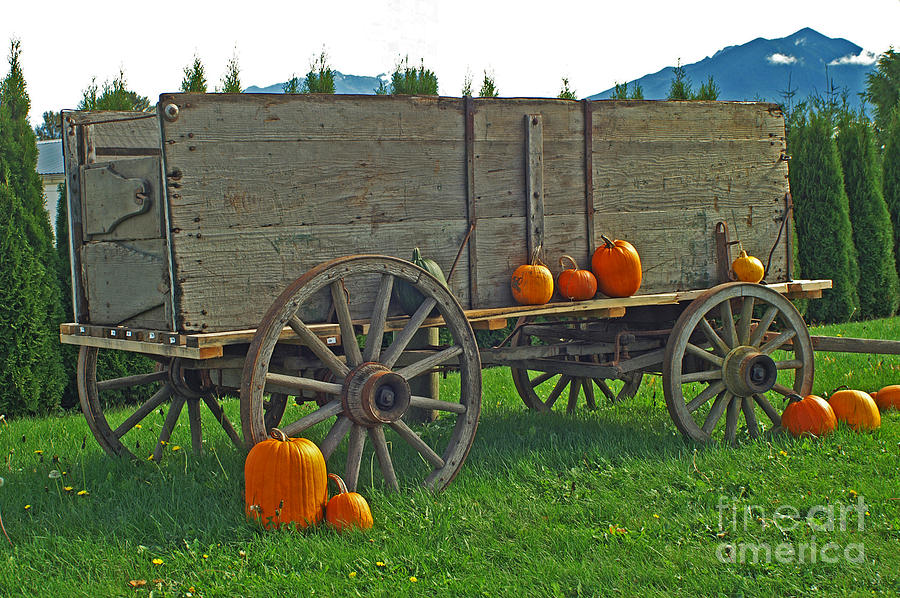 Fall Photograph - The Big Pumpkin Wagon by Randy Harris