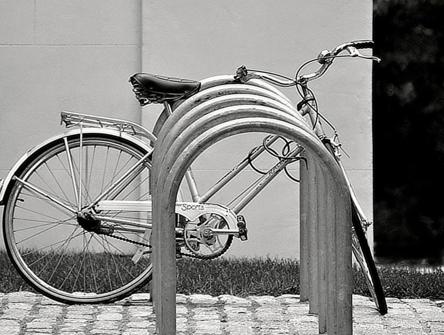 The Bike Photograph by Marysue Ryan