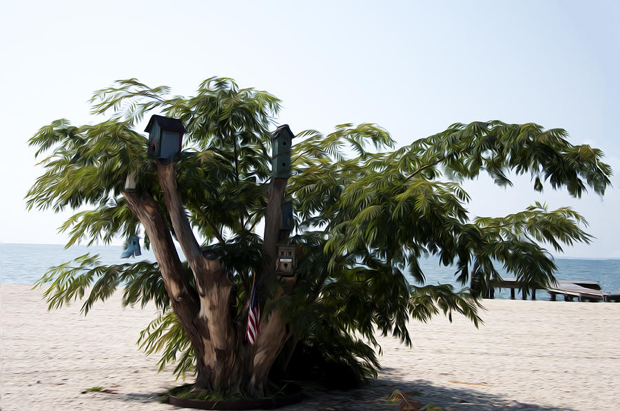 Tree Photograph - The Birdhouse Tree on the Beach by Bill Cannon