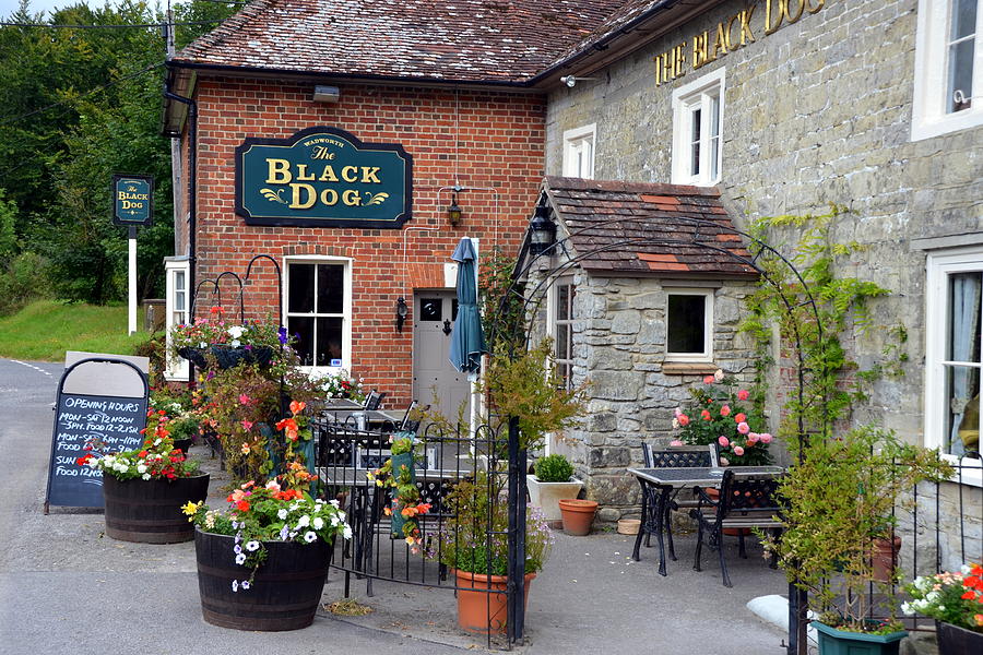 The Black Dog Pub Photograph by Carla Parris