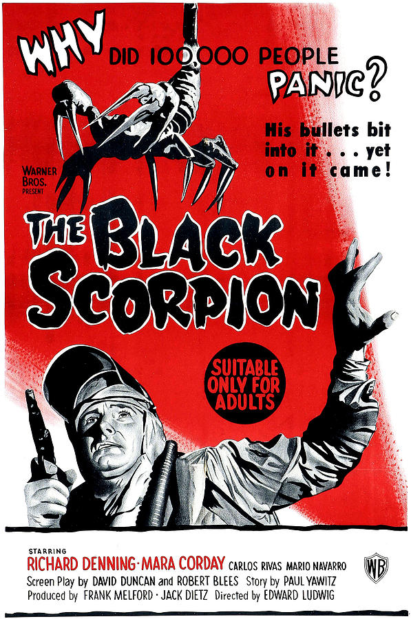 Movie Photograph - The Black Scorpion, Bottom Richard by Everett