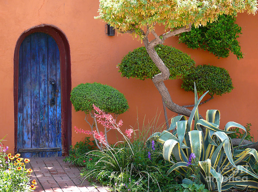 The Blue Door Photograph by Jeanne  Woods