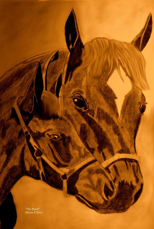 Horse Drawing - The Bond by Maria Urso