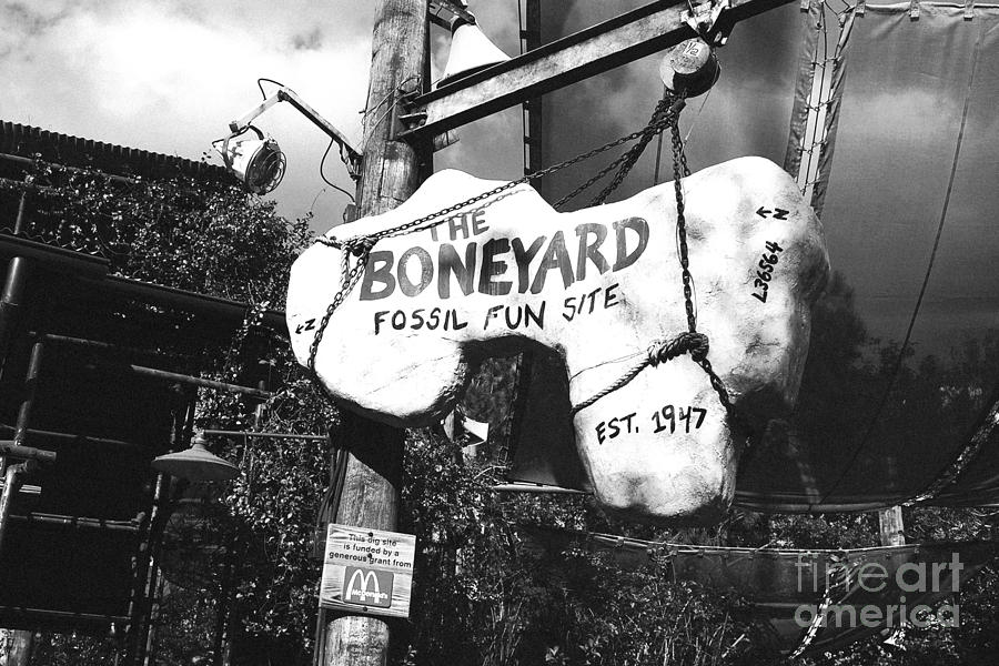 The Boneyard Sign Animal Kingdom Walt Disney World Prints Black and White Film Grain Digital Art by Shawn OBrien