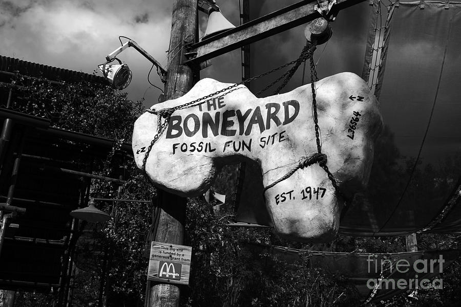 The Boneyard Sign Animal Kingdom Walt Disney World Prints Black and White Photograph by Shawn OBrien