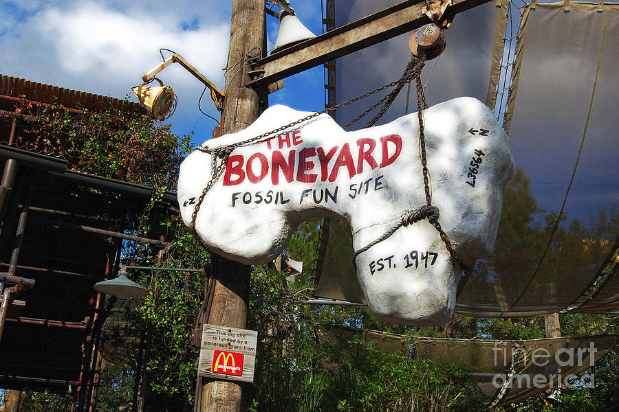 The Boneyard Sign Animal Kingdom Walt Disney World Prints Diffuse Glow Digital Art by Shawn OBrien