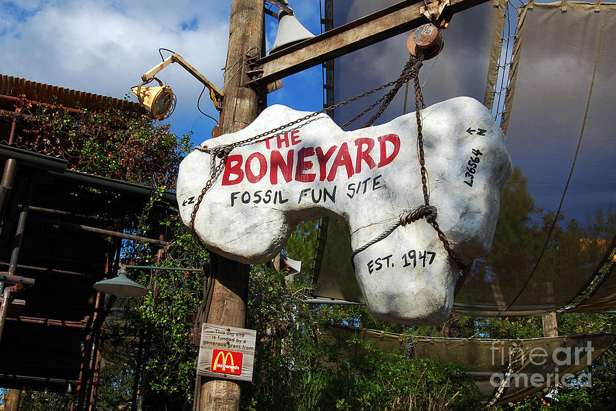 The Boneyard Sign Animal Kingdom Walt Disney World Prints Photograph by Shawn OBrien