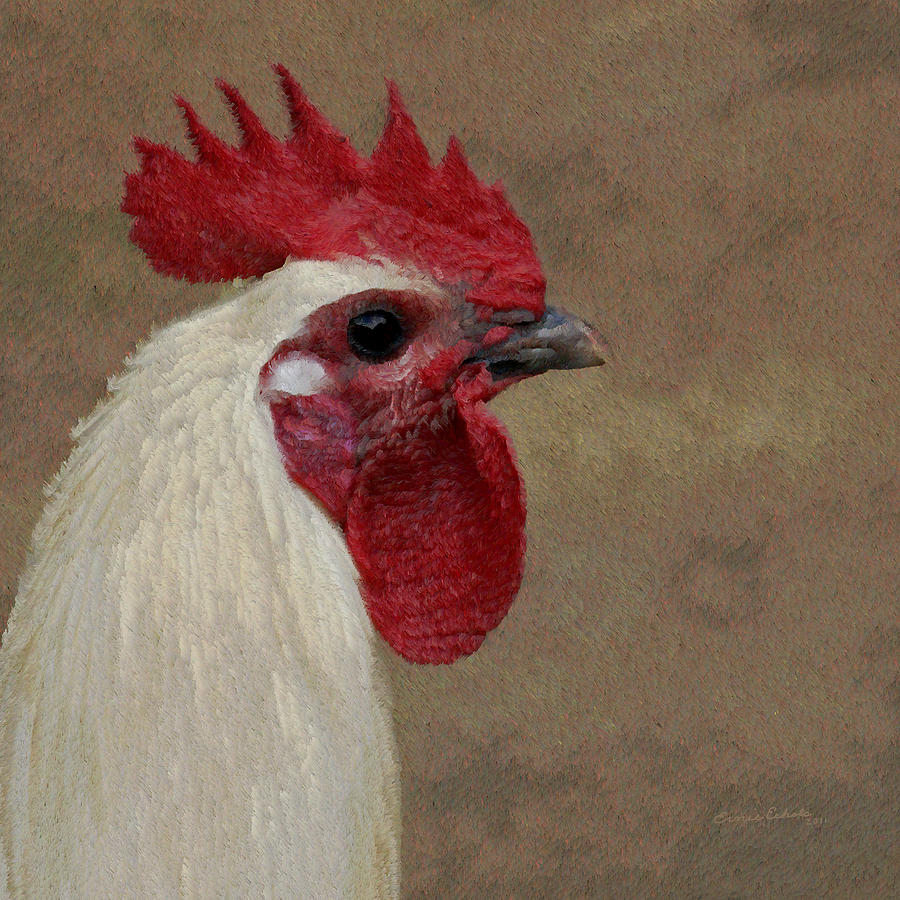 Rooster Photograph - The Boss by Ernest Echols